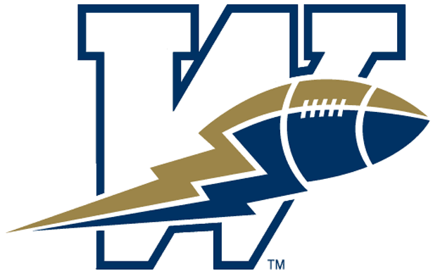 winnipeg blue bombers 1995-2004 primary logo t shirt iron on transfers